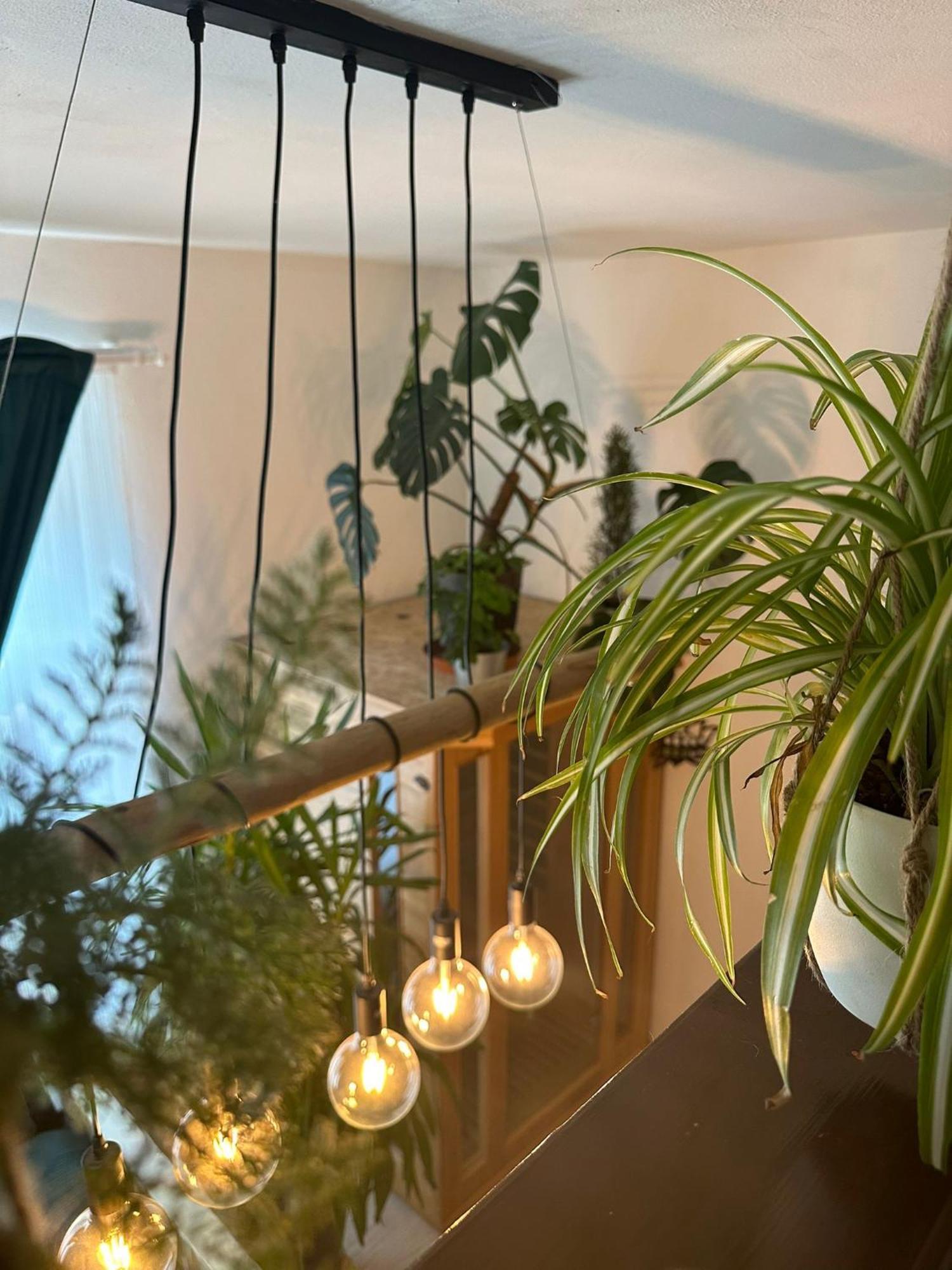 Green Garden ديشين المظهر الخارجي الصورة