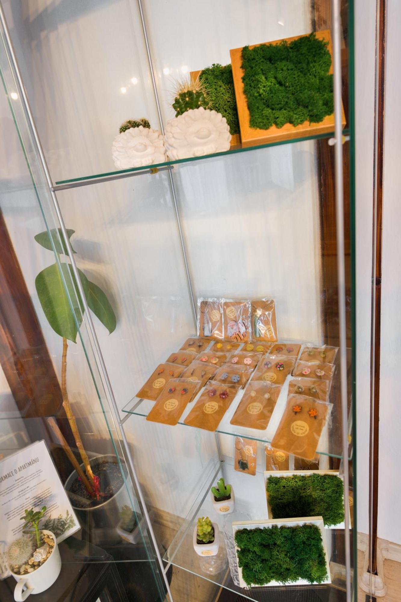 Green Garden ديشين المظهر الخارجي الصورة
